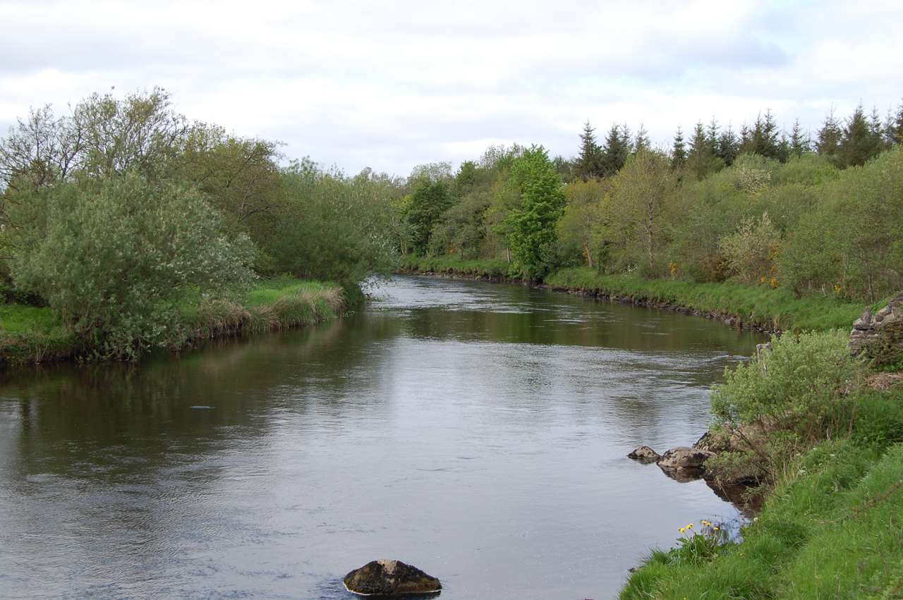 River Moy Biodiversity Plan East Mayo Anglers Carpark Areas - East Mayo ...