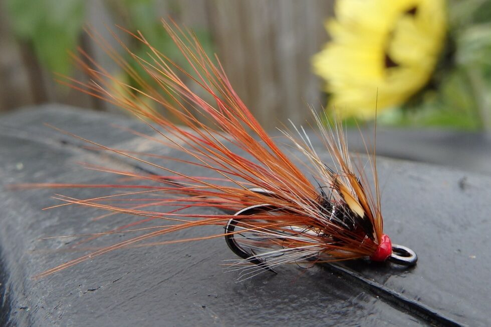 An introduction to tying Irish shrimp flies - East Mayo Anglers ...